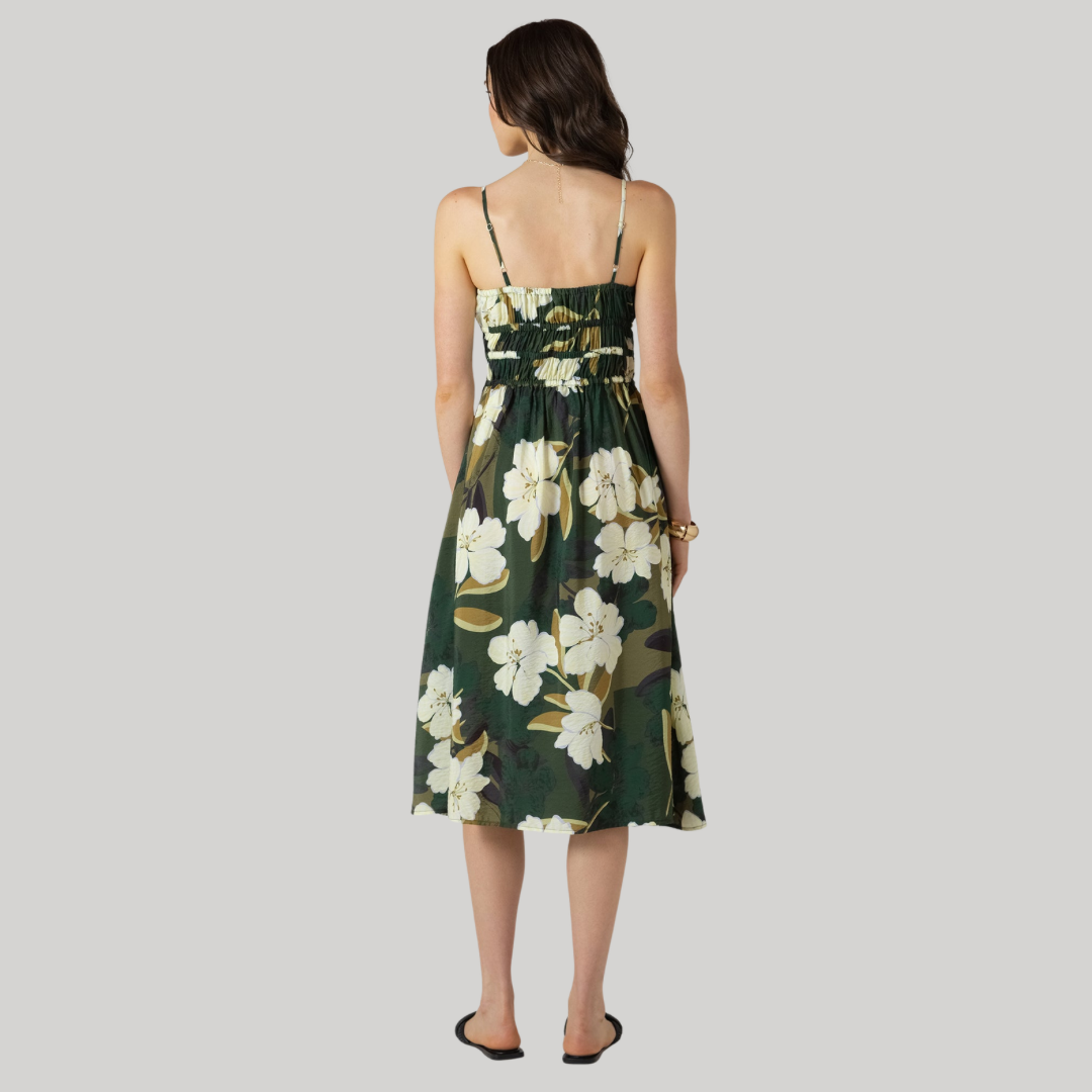 ROBE-DEX